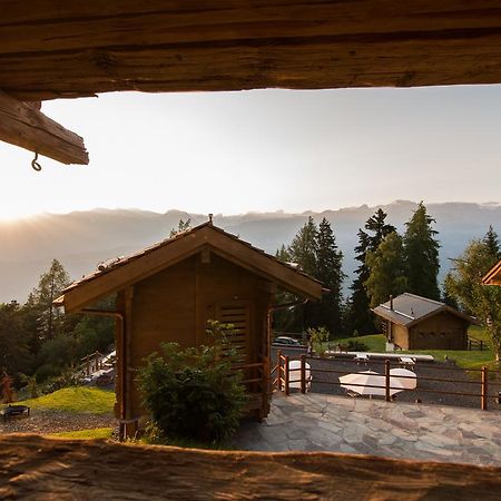 Les Mazots De La Source & Spa Vercorin Εξωτερικό φωτογραφία